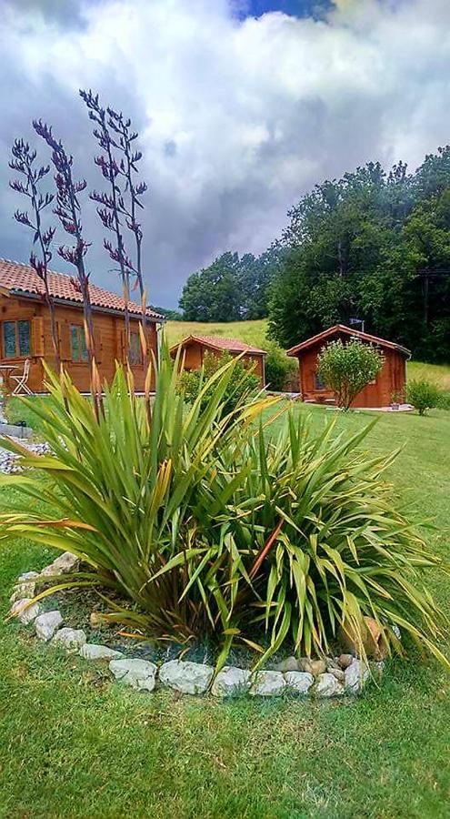 Chalet Charmant A Dausse Avec Piscine Et Jardin Exterior foto